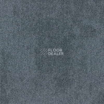 Ковровая плитка Rudiments Коллекция Basalt 569 фото 1 | FLOORDEALER